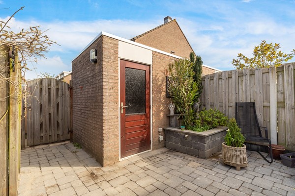 Albert Schweitzererf 6_24.jpg